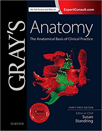 GRAY'S ANATOMY: THE ANATOMICAL BASIS OF CLINICAL PRACTICE