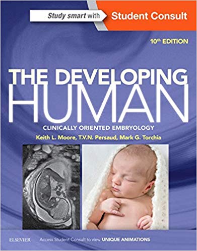 THE DEVELOPING HUMAN : CLINICALLY ORIENTED EMBRYOLOGY
