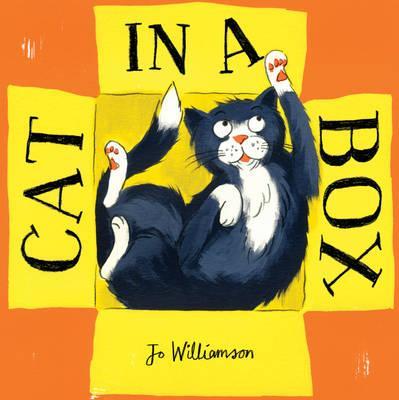 CAT IN A BOX