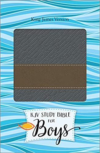 KJV STUDY BIBLE FOR BOYS - GRANINE/COPPER