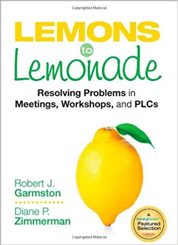 LEMONS TO LEMONADE: RESOLVING PROBLEMS IN MEETING, WORKSHOPS