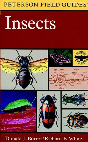 A FIELD GUIDE TO INSECTS: AMERICA NORTH OF MEXICO