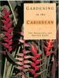 GARDENING IN THE CARIBBEAN